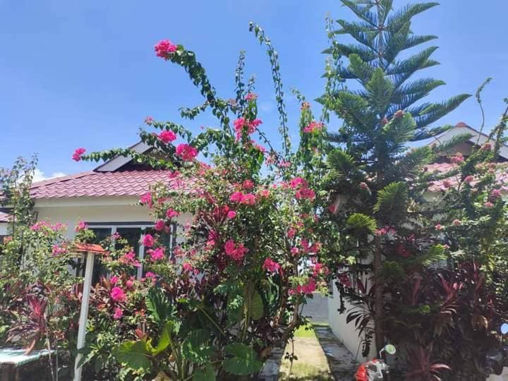 Langkawi Homestay Bunga Padi Kuah Zewnętrze zdjęcie